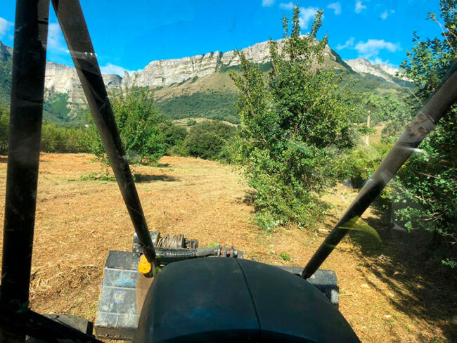 Servicios agroforestales