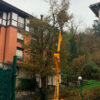 Podas de árboles