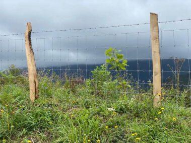 Trabajos agrícolas y forestales