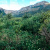 Zona verde monte